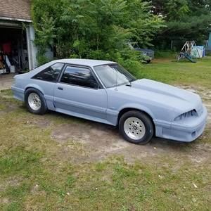 Meet your Posher, George